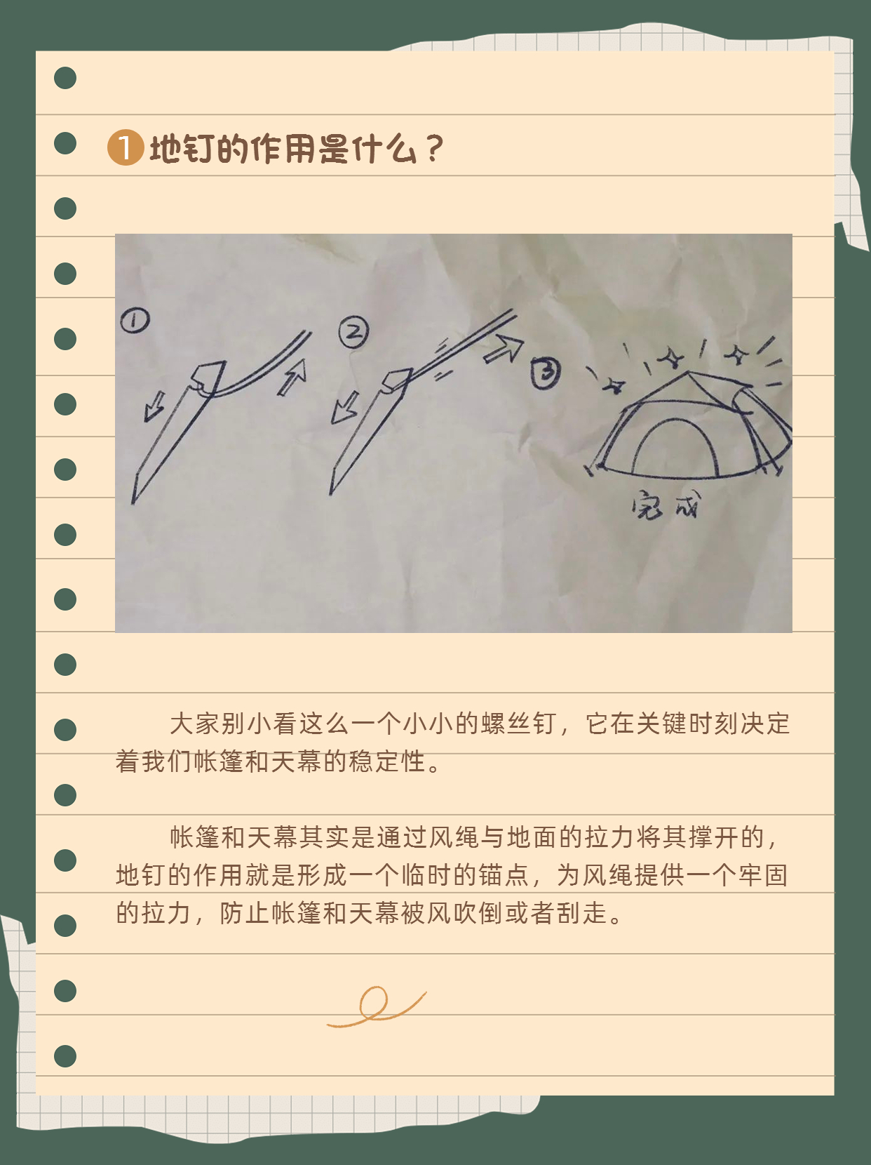 1地钉的作用是什么 .jpg
